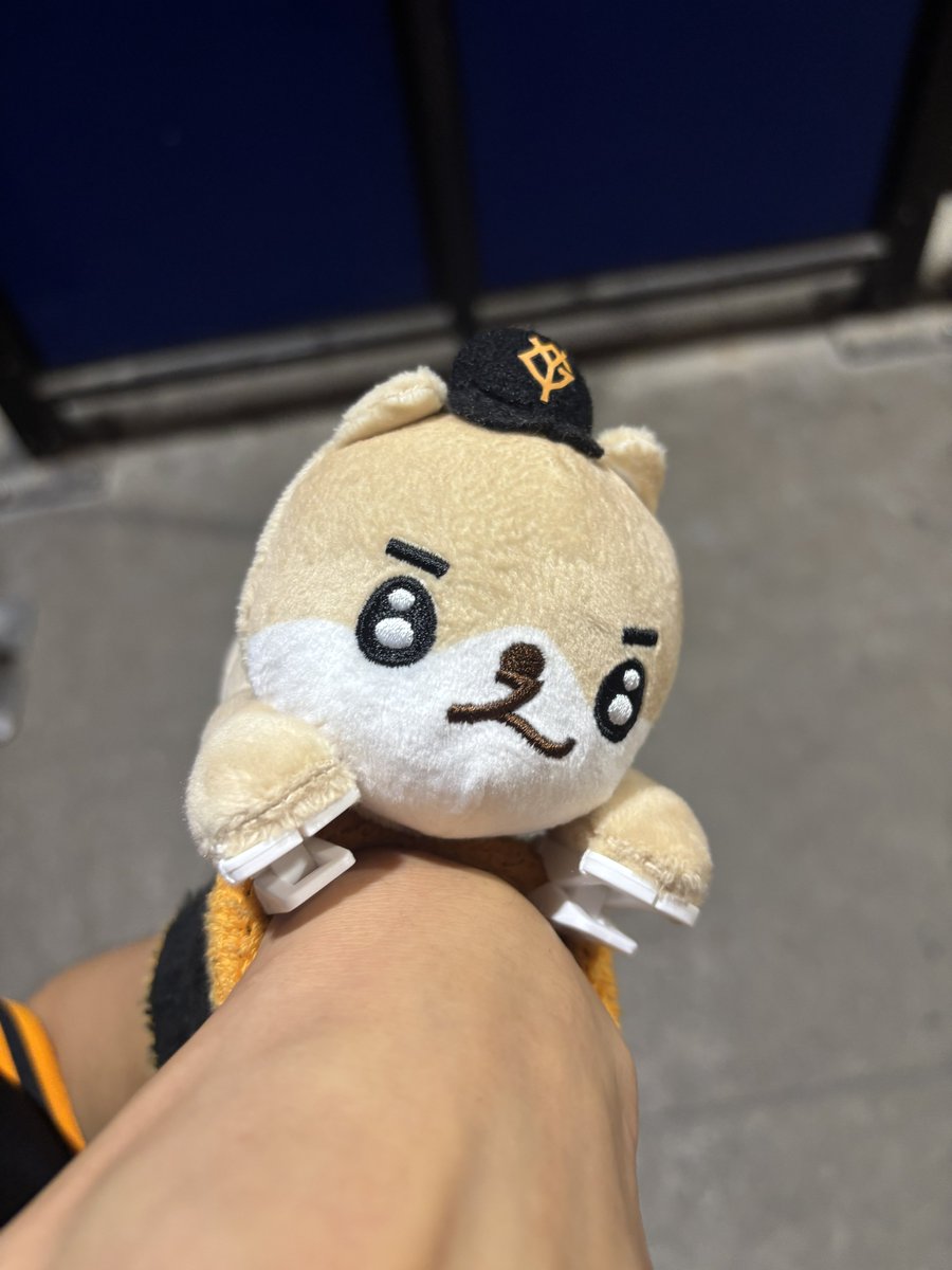 YGAbe83's tweet photo. 今回もアベドックくん
そして菅野投手のパペットくんが仲間に加わり最終戦に参戦しました"(ﾉ*>∀<)ﾉ https://t.co/xSCyjI9GLQ