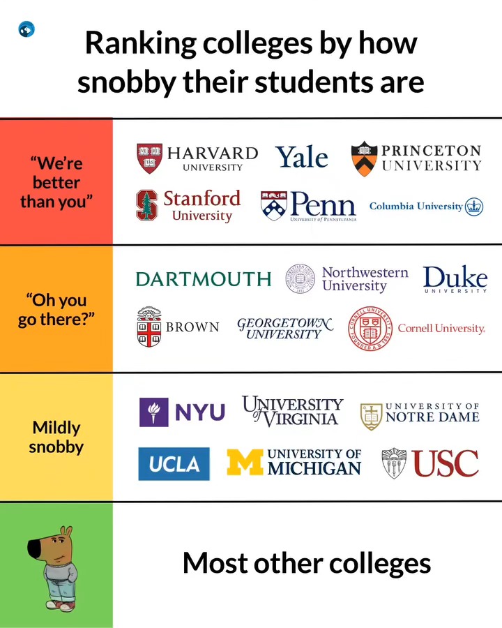 A meme titled 'Ranking colleges by how snobby their students are,' tiering schools from 'We're better than you' (Harvard, Yale, Stanford) to 'Most other colleges' with a Bluey character.