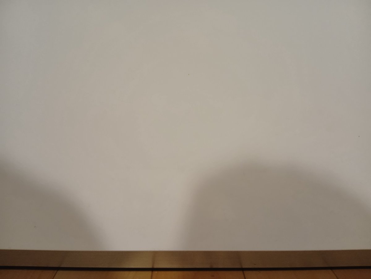 nmz500mng's tweet photo. ぎっくり腰後のプリズナートレーニング再開のための筋トレ。
サイドプランク左右各30秒×2回
デッドバグ10×2回

#ぎっくり腰
#筋トレ
#より良い釣り人生のために https://t.co/I13oPgIiOY