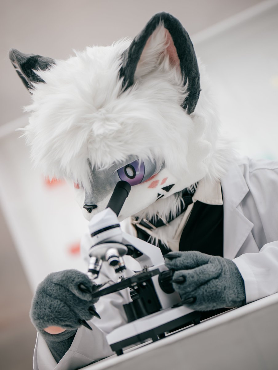 Rigel_Fur's tweet photo. 대물렌즈에 먼지가 끼었나.. 🔬💭🤔

📷 @ zumk_work

#fursuitfriday #furry
#TheRigel https://t.co/LJ36eviWxu