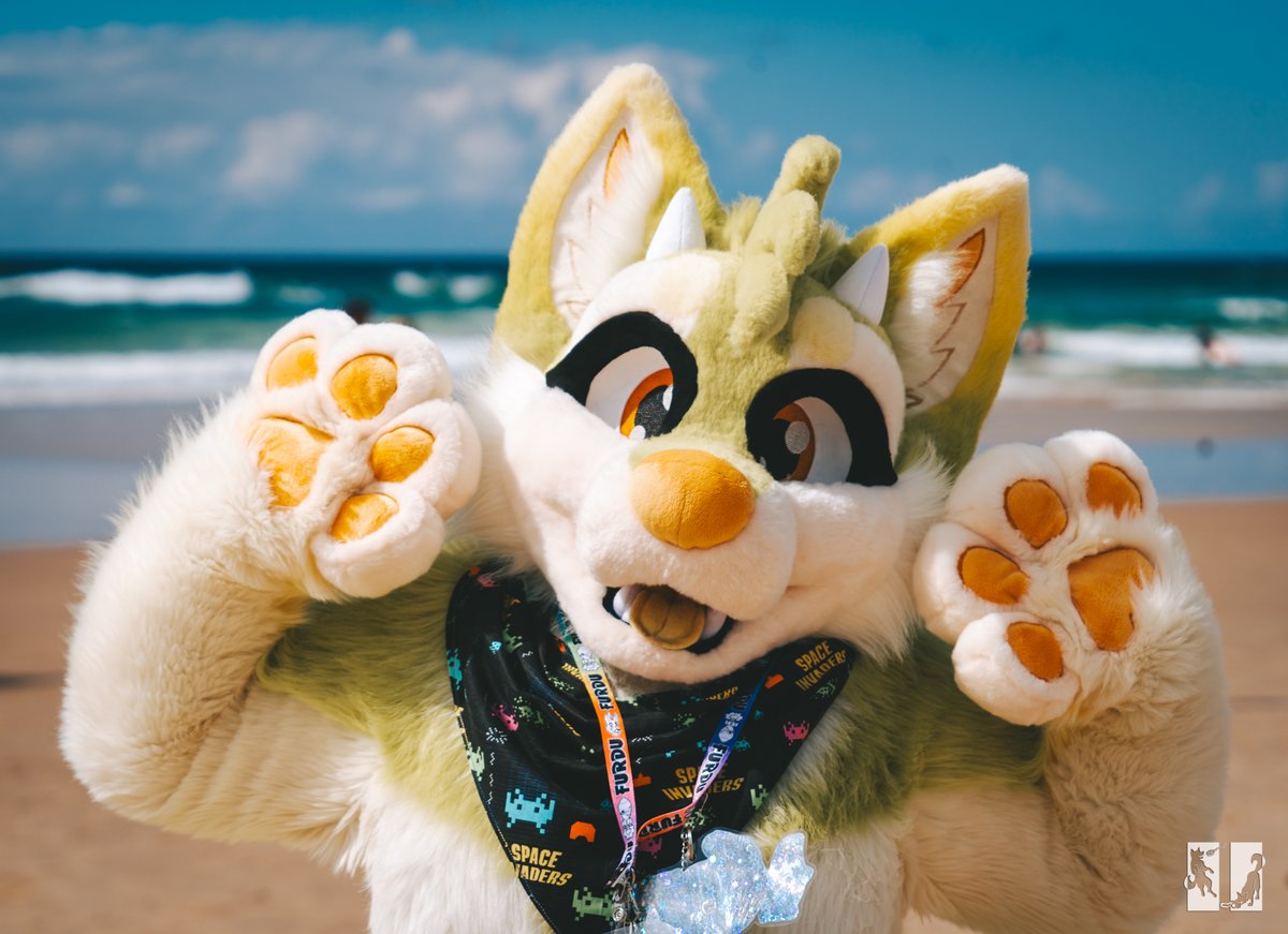 8Bit_Works's tweet photo. Is it nice enough weather for a beach trip yet? 🏖️
Happy #FursuitFriday!

📸 by @HuskyPause https://t.co/GWJ47tt1wf