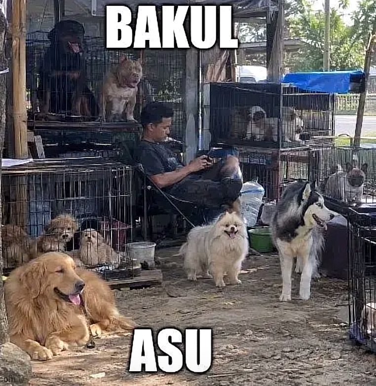 dailyskyy's tweet photo. tapi iya sih https://t.co/rwuVyFisDE