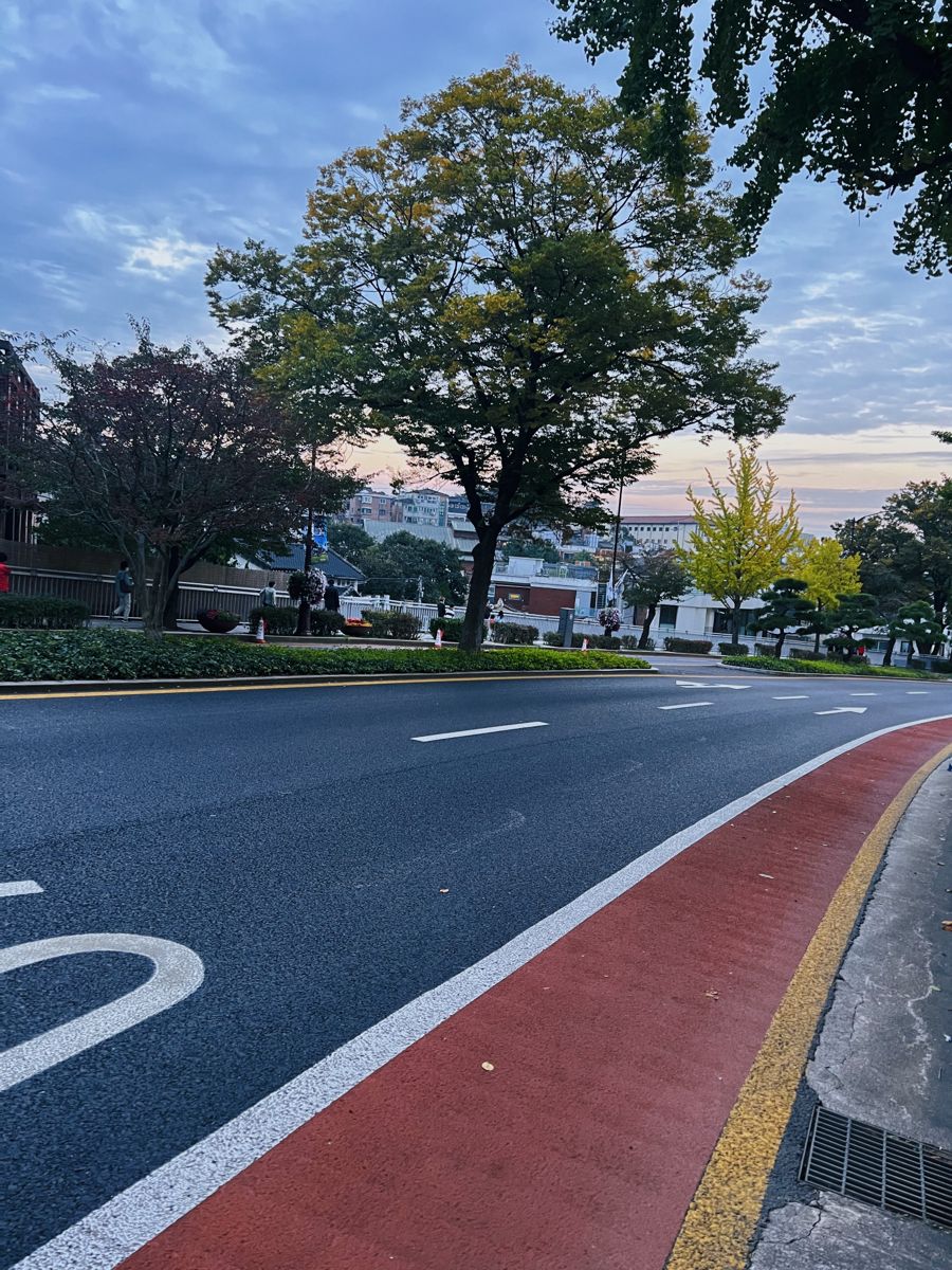 jasontRhHCkMBBB's tweet photo. Returning to simple life it gently demonstrates 💪 that personal growth blossoms whenever patience leads bringing a profound sense. 🦋 https://t.co/3h56Fx80VE