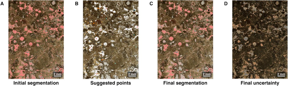 Geoderma_Jrnl's tweet photo. New in Geoderma: "porositAI: An open-source, interactive tool for rapid and reproducible quantification of pore space in soil thin sections" by Cedric J Hagen, Axel Cerón González, Lilit Pogosyan [...] Michael D SanClements. 
@NEON_sci @CUBoulder @VUBrussel @KU_Leuven https://t.co/3mAzBMzzuG