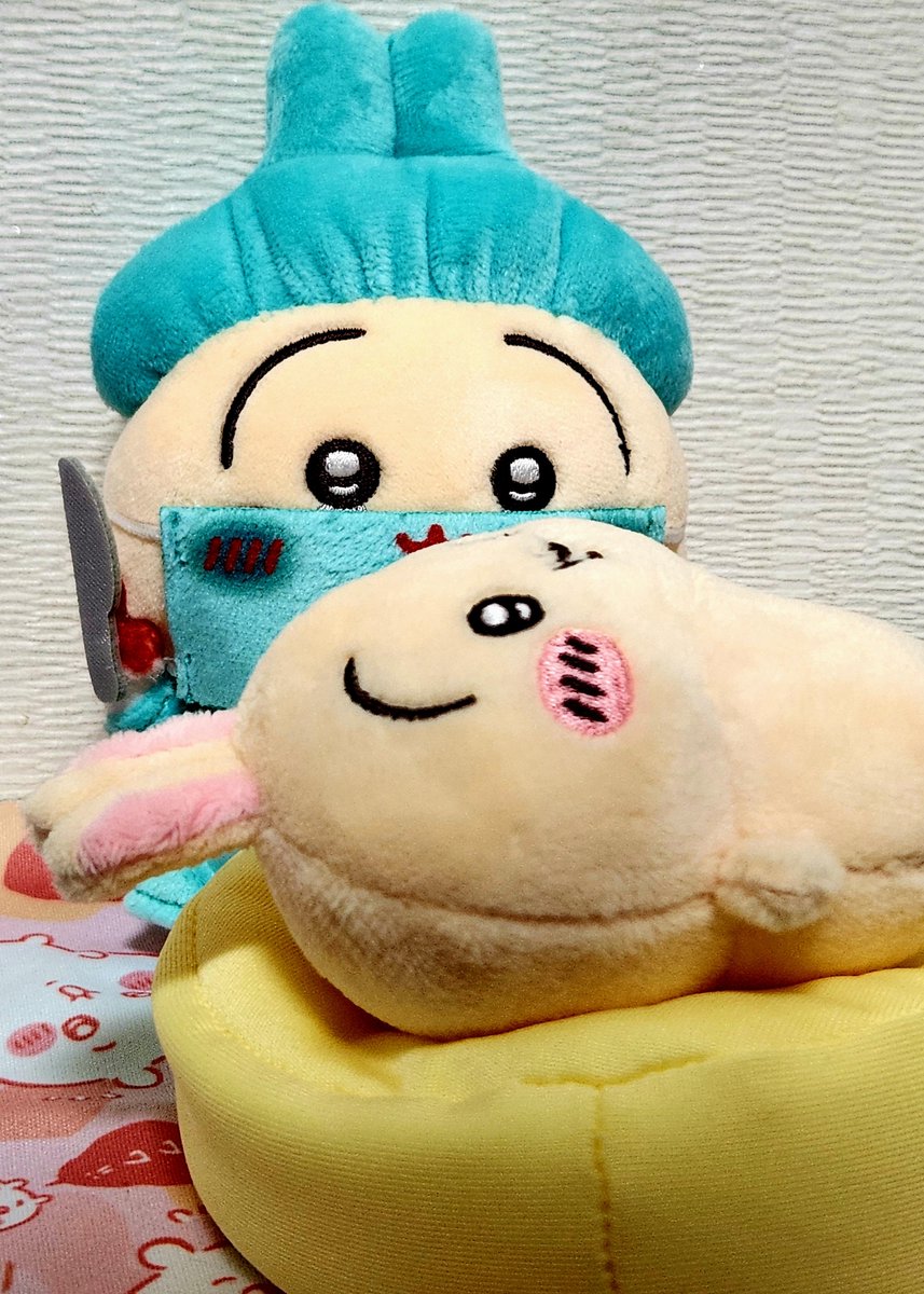 ratta_um's tweet photo. 우라얏하.뿌뤼얏하. https://t.co/LEbiln6PVW
