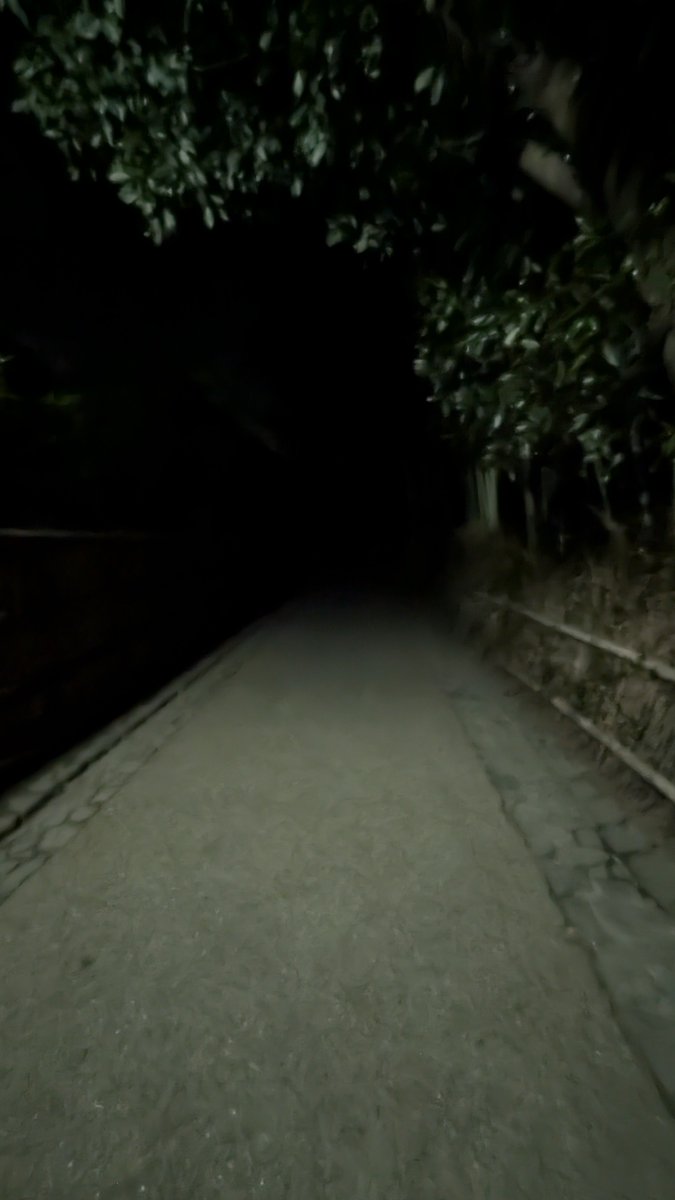 Tehepero1abcba2's tweet photo. ライトアップして無い

竹林の小径をちょっと歩いて見ました🚶
#竹林の小径 https://t.co/0VfuRmOivz