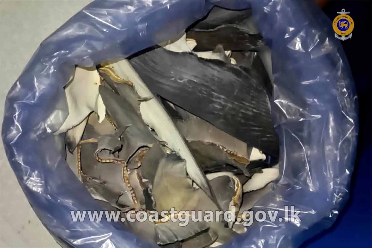 SoitStaff's tweet photo. FIVE FISHERMEN ARRESTED WITH SHARK FINS AND DRIED SHARK FISH    Read More=>>> https://t.co/n2XKk6rSA7 https://t.co/GIVp1BqR2m