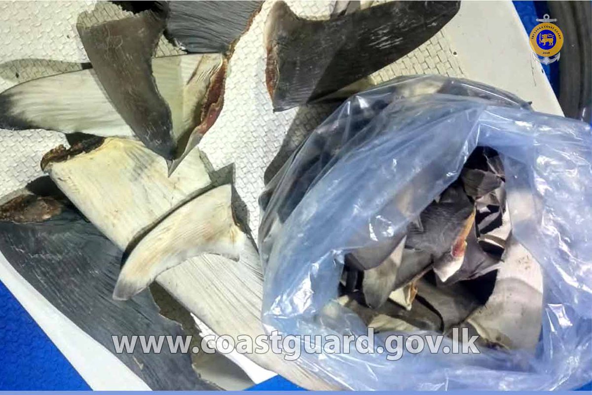 SoitStaff's tweet photo. FIVE FISHERMEN ARRESTED WITH SHARK FINS AND DRIED SHARK FISH    Read More=>>> https://t.co/n2XKk6rSA7 https://t.co/GIVp1BqR2m