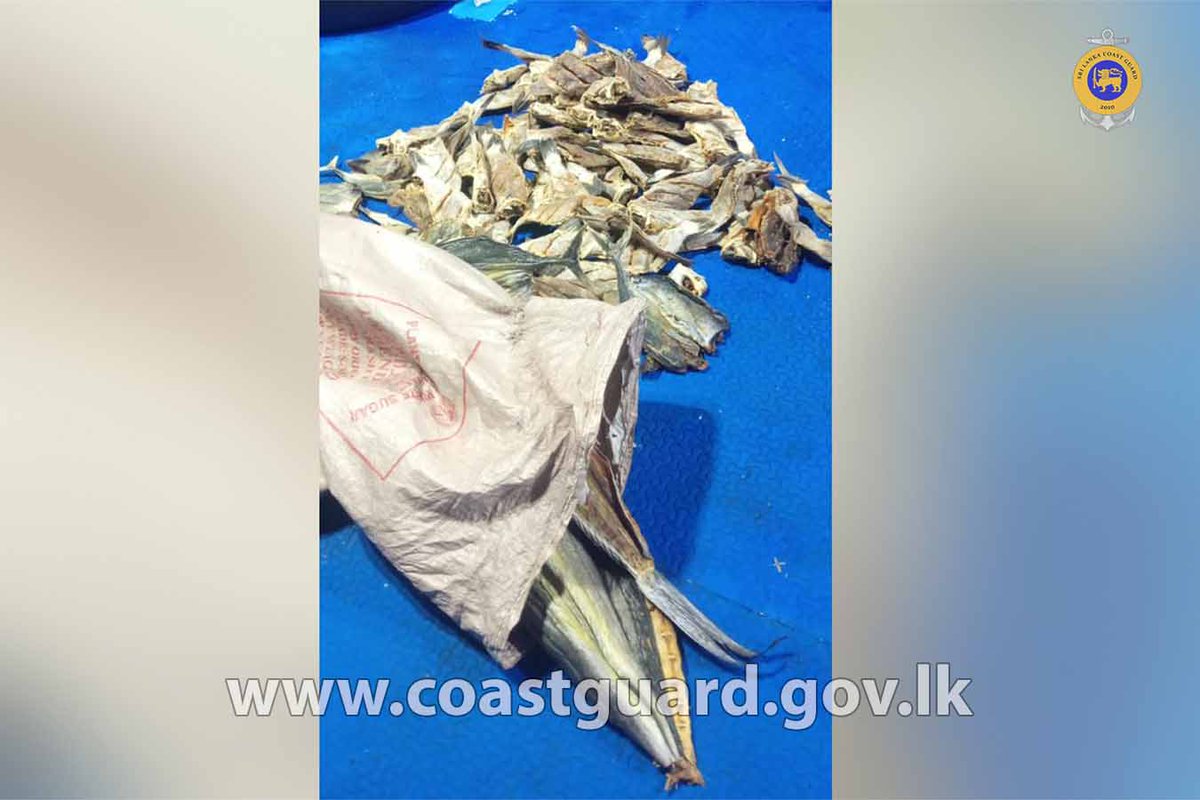 SoitStaff's tweet photo. FIVE FISHERMEN ARRESTED WITH SHARK FINS AND DRIED SHARK FISH    Read More=>>> https://t.co/n2XKk6rSA7 https://t.co/GIVp1BqR2m