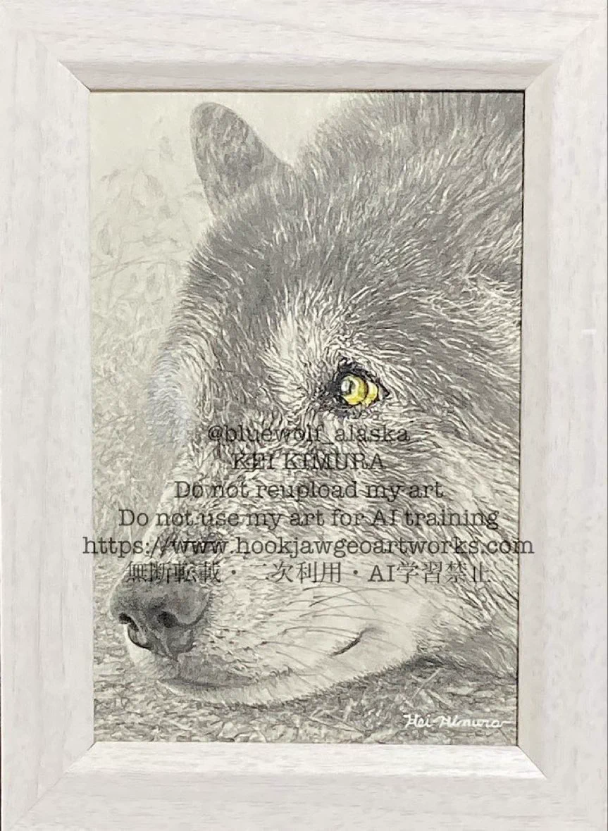 GEOARTWORKS🐺オオカミとっても大好き展10/10-13🐟サケの森10/18迄千歳