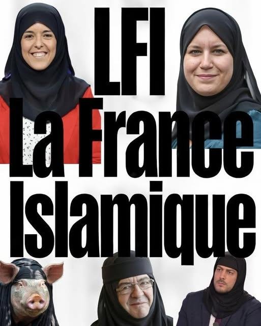 MontreTaCroix's tweet photo. L'état fort avec les faibles et faible avec les forts en gueule ne veut pas dissoudre LFI pour brandir le drapeau du chaos en cas de victoire du RN, c'est là sa seule stratégie,  minable et irresponsable 
TOUS COUPABLES https://t.co/OUjEJp7fH7