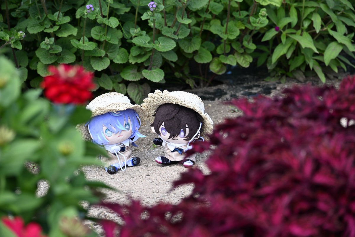 rinne_1115's tweet photo. ぱぺぬい達がこちらを認識して自分が世界一可愛いでしょと言わんばかりにカメラ目線な写真ももちろん大好きなんですけど、隠し撮りされてる写真もぱぺぬい達の世界を生きてる感じがして大好きです酔っていると口数が多くなってしまうのが悩み。お家のぱぺぬいの写真送ってくれてもいいんですよ https://t.co/3hj1FjMH8K