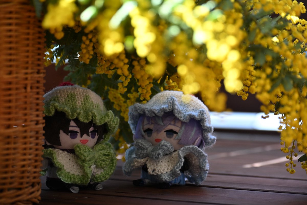 rinne_1115's tweet photo. ぱぺぬい達がこちらを認識して自分が世界一可愛いでしょと言わんばかりにカメラ目線な写真ももちろん大好きなんですけど、隠し撮りされてる写真もぱぺぬい達の世界を生きてる感じがして大好きです酔っていると口数が多くなってしまうのが悩み。お家のぱぺぬいの写真送ってくれてもいいんですよ https://t.co/3hj1FjMH8K