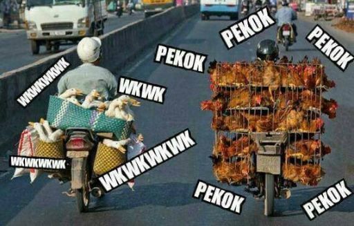 jawafess's tweet photo. wkwkwk cokkk https://t.co/t8nKwk7JVd