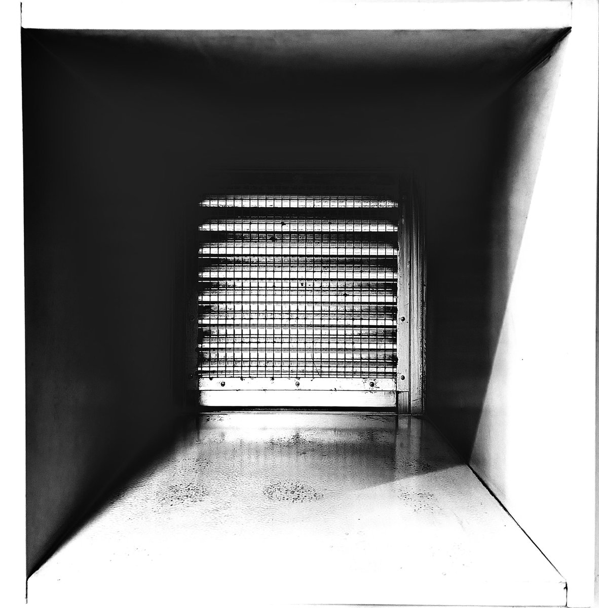 miz9seem's tweet photo. #fineartphotography https://t.co/vkWOWkFxvE