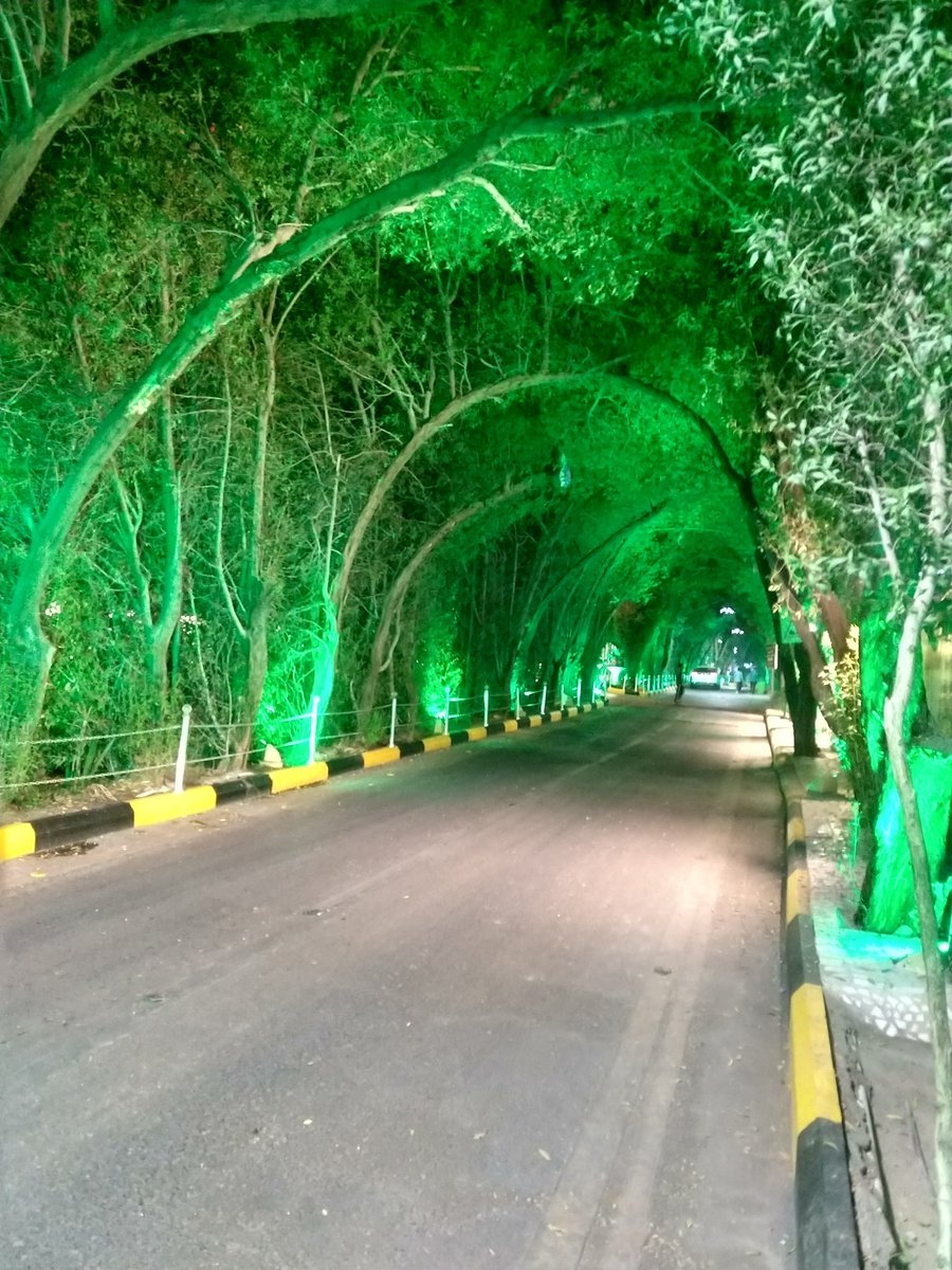 tsomswritings's tweet photo. دومین زائر نذری کربلای #خیمه هم راهی شد.

حامد عزیز دیشب از نجف و کربلا برای ما عکس فرستاده و نایب الزیاره بانیان عزیز و اهل خیمه بوده.

@SoldierHamed313 https://t.co/BfBCKaE1TX