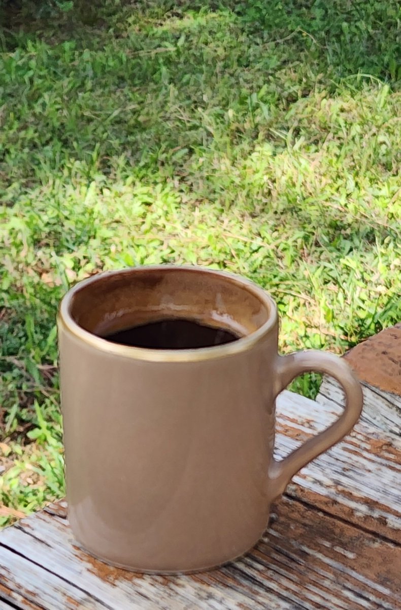 GirenizSalih's tweet photo. Son mesai günü öğlen kahvesi.  Kahve candır ❤️ gününüz güzel geçsin 🌿☕️🌥 https://t.co/zc0omrIPis