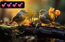 madiha915's tweet photo. ہمدم میرے،
جو نقصان ہماری وجہ سے 
آپکا ہوا اُس پر معذرت
مگر اب اطمینان رکھیے

ہم الگ ہو چکے ہیں،
اس لیے آئندہ ہونے والے 
ہر نقصان کا ذمہ دار 
ہمیں نہ ٹھہرائیے گا۔

اب جو ہوگا،
وہ آپ کا فیصلہ ہوگا
اور آپ کا حساب۔
 💕💕💕💕
#EveningLook 
#LossForEver https://t.co/CP3Fxj6zxa