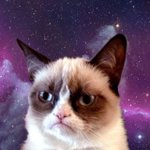 Photo by Grumpy Cat (@GrumpPumpSol)
