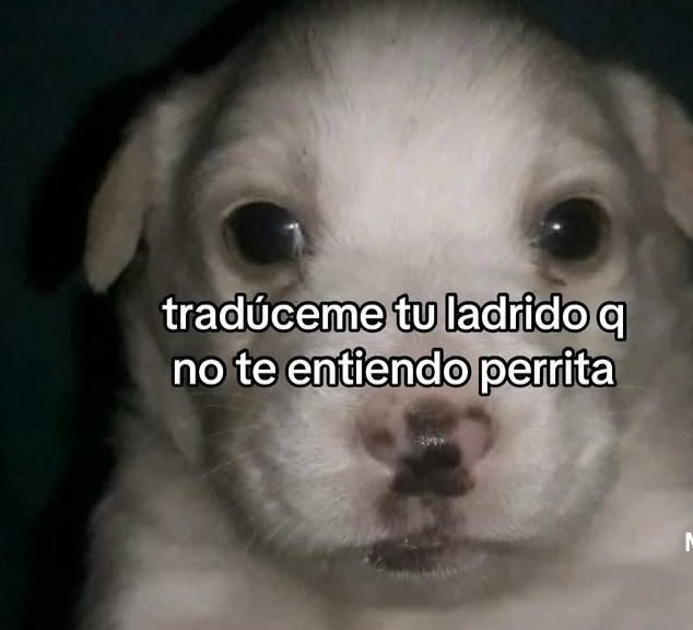 Nichelle_lp's tweet photo. Amanecimos agresivos https://t.co/SQHKPctmwc