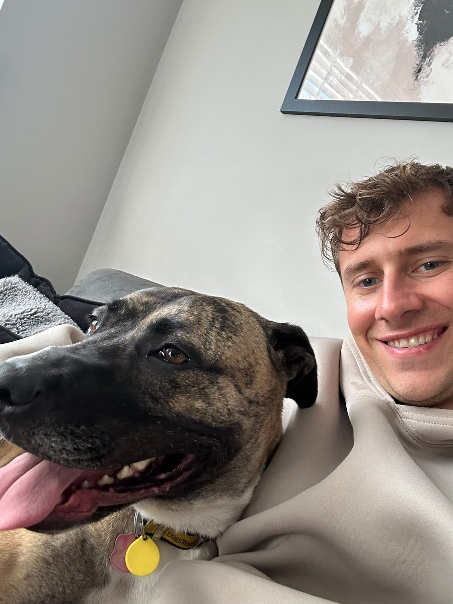 DT_Kenilworth's tweet photo. This #FosterDogFriday is all about Ella! 🐶

She's been spending time settling in to all the comforts of home and she's decided... she actually LOVES it! 🏡

#RescueDog #AdoptMe #Rehome #Lurcher #Foster https://t.co/6tYMX3SMqy