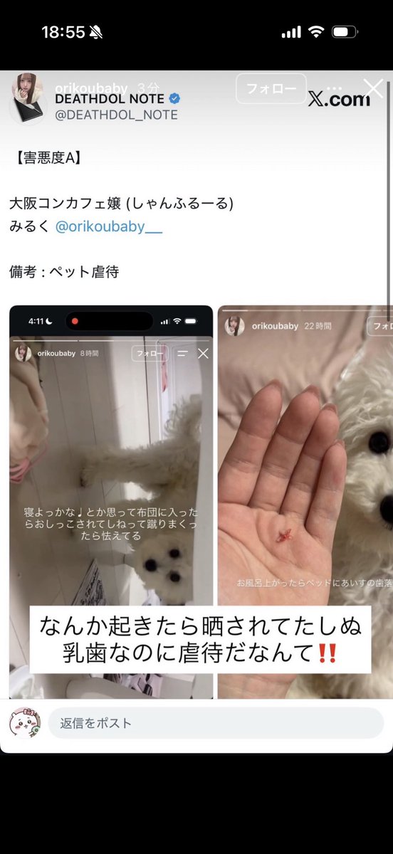 niisuguru2's tweet photo. ワンちゃん虐待してるお宅の店のキャストのミルクって子からワンちゃん助けてあげたいんですけど協力してもらえませんか？ https://t.co/WBRPzhqqLE