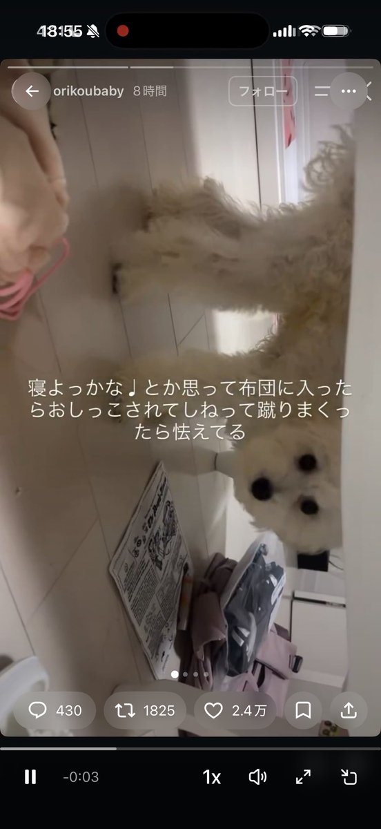 niisuguru2's tweet photo. ワンちゃん虐待してるお宅の店のキャストのミルクって子からワンちゃん助けてあげたいんですけど協力してもらえませんか？ https://t.co/WBRPzhqqLE