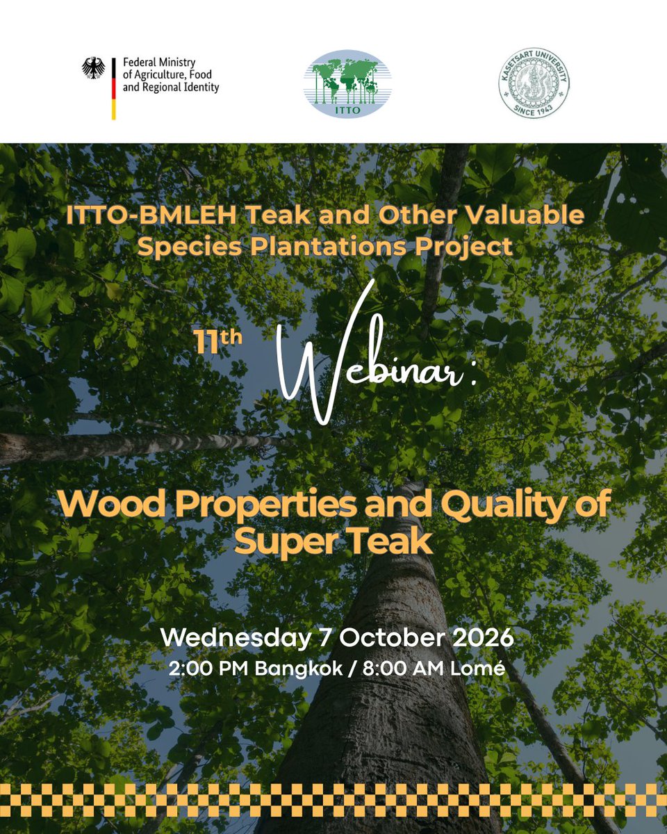 itto_sfm's tweet photo. 🪵 🌳 What makes "super" teak?

Join a webinar next week for a deep dive on the wood properties that contribute to high-quality teak from natural forests and plantations, featuring insights from @brin_indonesia and @kasetsart_ku researchers.

🔗Learn more: https://t.co/5Vm7BMPQab https://t.co/p25GrjEY8q