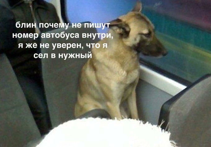 great_knee's tweet photo. А правда, почему... https://t.co/VNGO5PhEhZ