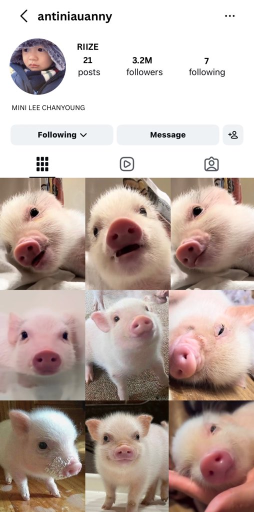 wtliler's tweet photo. 🐽🐽💨💨 https://t.co/wTU99Te42q