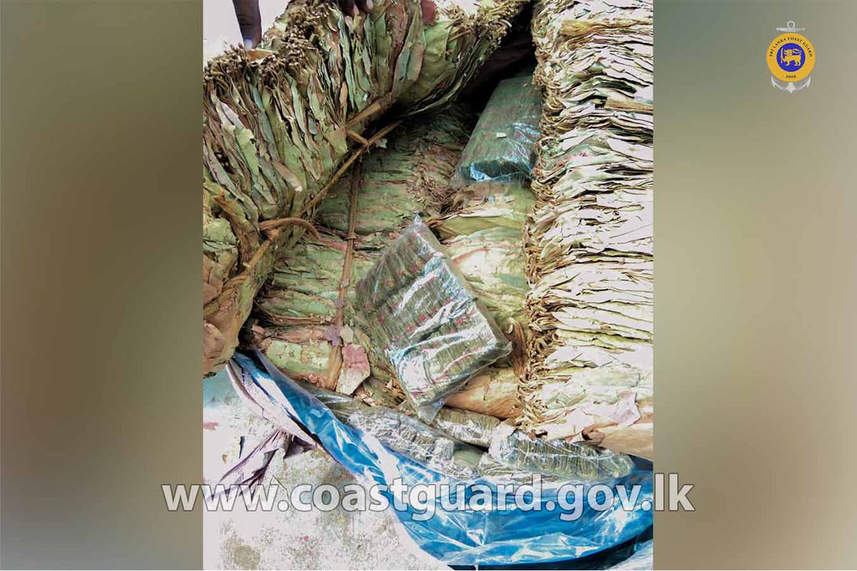 SoitStaff's tweet photo. OVER 10.9MILLION WORTH OF KENDU LEAVES TAKEN INTO CUSTODY DURING COMBINED OPERATION    Read More=>>> https://t.co/XsxIaUyeEV https://t.co/PcnI8ibpNl