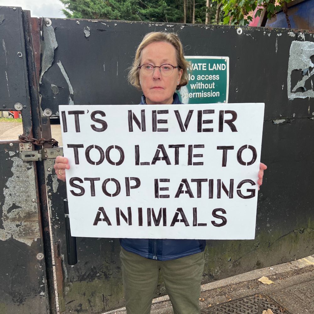 teamveganfta tweet picture