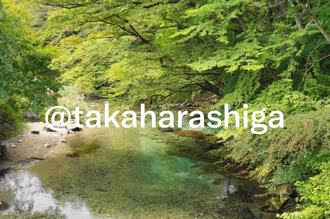 atsukun_325's tweet photo. @Ah46DrTochigi 先生・・ひょっとしてこの後ろ姿は・・きょんこ？？？笑　そして
NすSばらの拾い画大自然🏞️今シーズンはハンターマウンテン⛷️行きたいでーす🏔️ https://t.co/jGkSXyMOUD