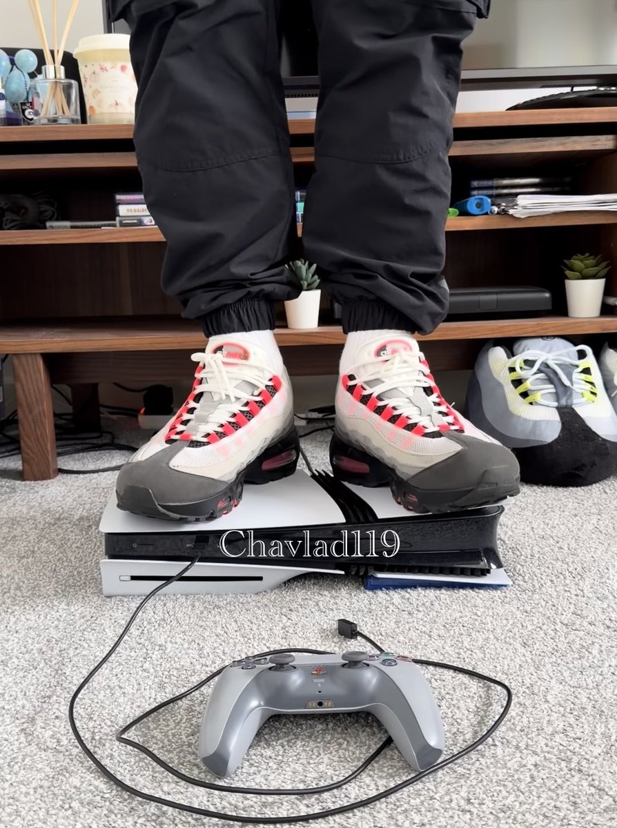 chavlad119's tweet photo. Chavy master doesn’t care what gets stood on https://t.co/JDVqihS1oB