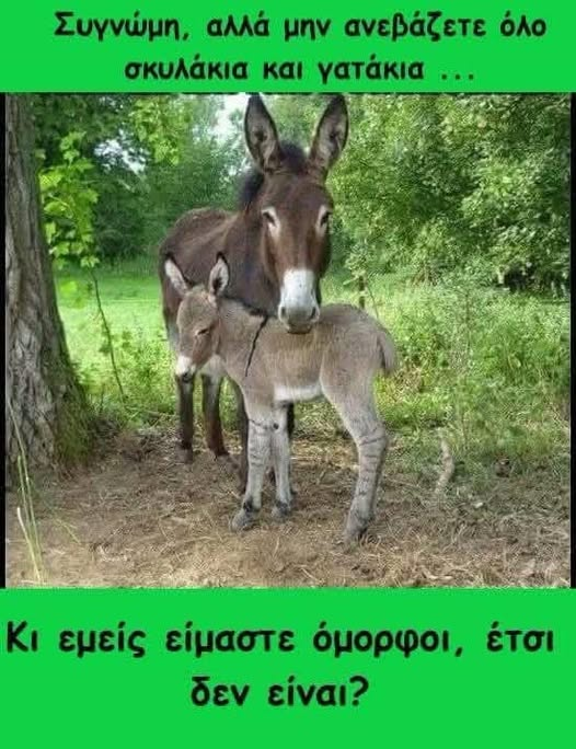 nikos_villiotis's tweet photo. ...έχουν απόλυτο δίκιο!! https://t.co/jyh3RWHOP1