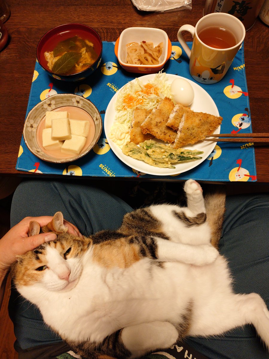 kawaii_nekoniko's tweet photo. アジフライ高野豆腐モロヘイヤと卵の汁たべました https://t.co/q3ZEWZSXFf