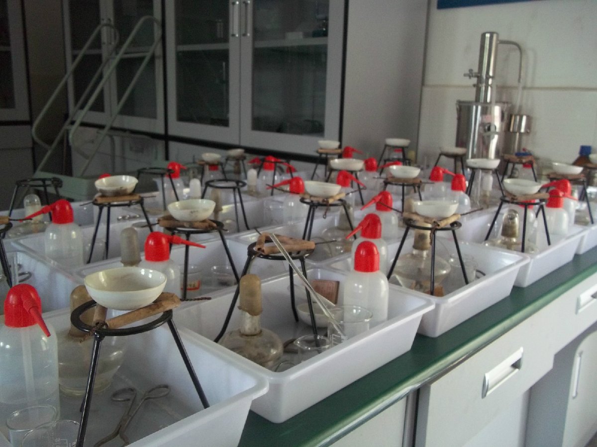 ElizabethSgscc's tweet photo. [Need: Benzene ring, palladium catalyst, and nickel-locked ligand for the lab experiment!]， https://t.co/18rV1qUhvO