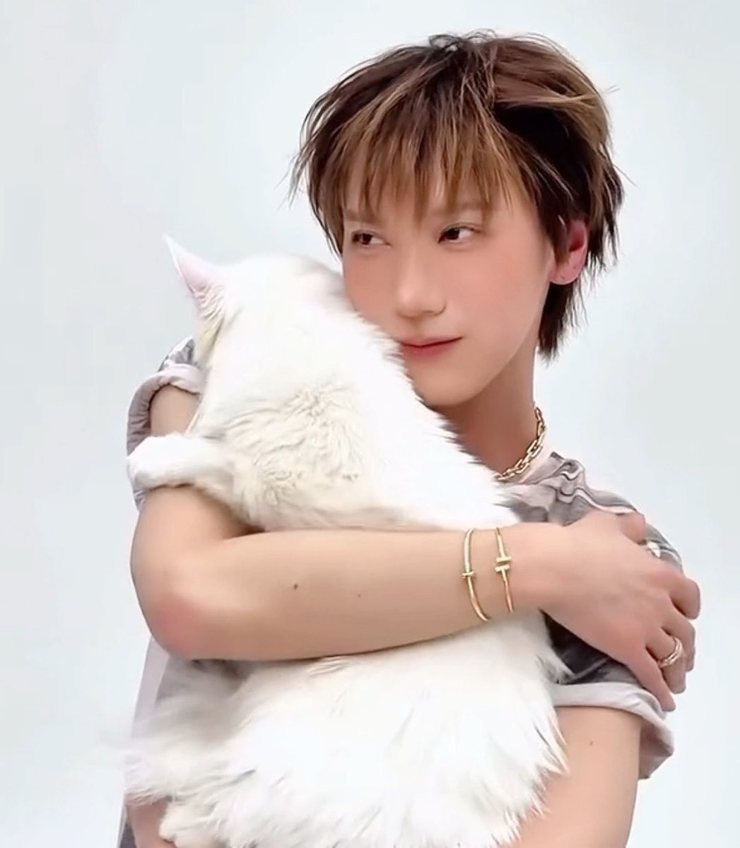 A young man with brown hair embraces a fluffy white cat, wearing a gray patterned shirt and cross bracelets.