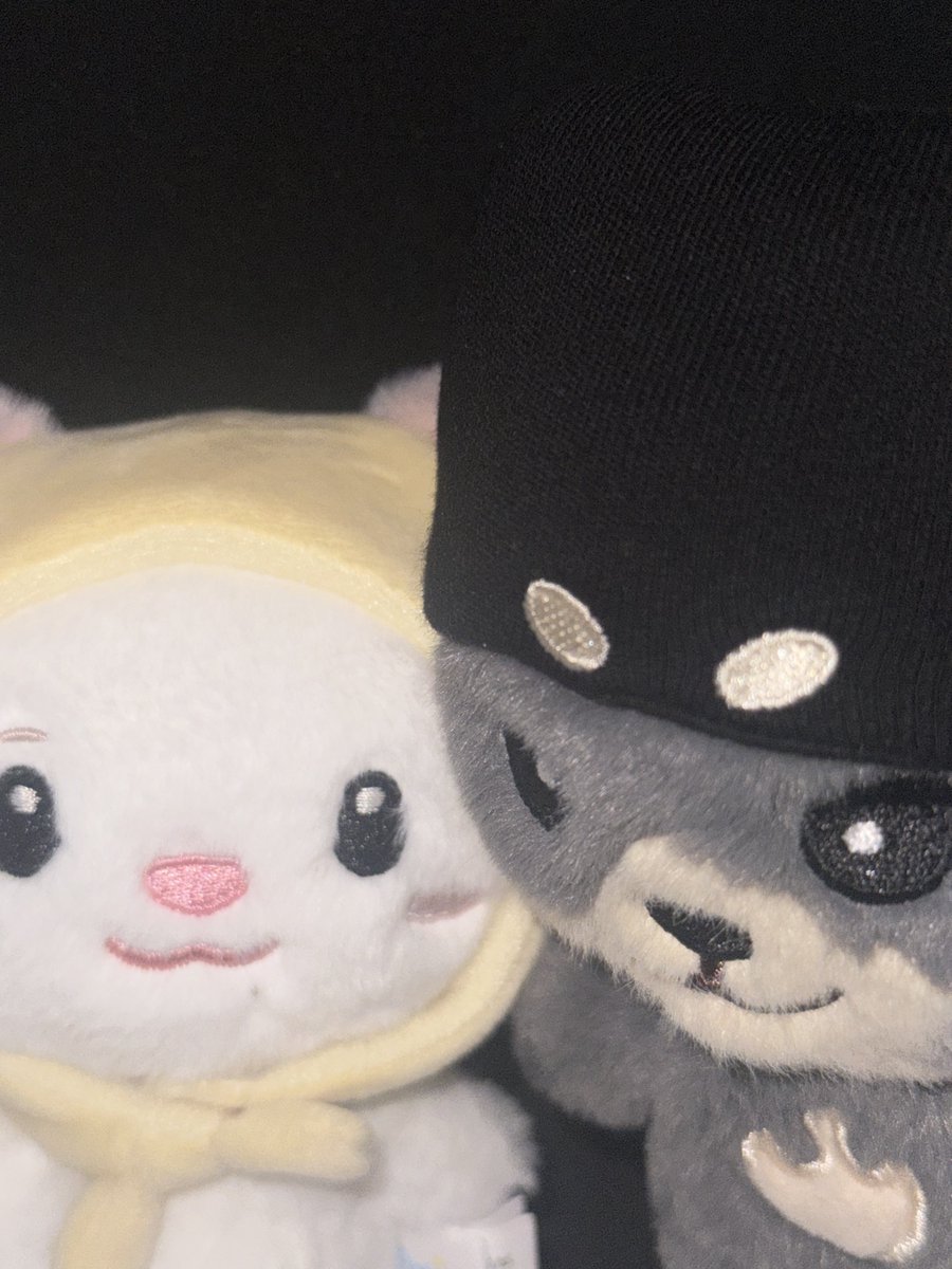 hirowitxus's tweet photo. 😘 https://t.co/9HWOOpemaP