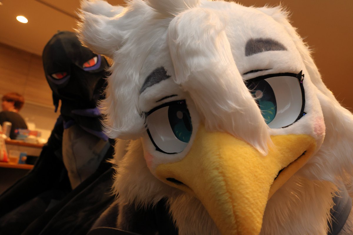 drawg_t's tweet photo. （センパイが可愛すぎる）
#FursuitFriday
📸: @ alphaLS https://t.co/QMKGEBbAea