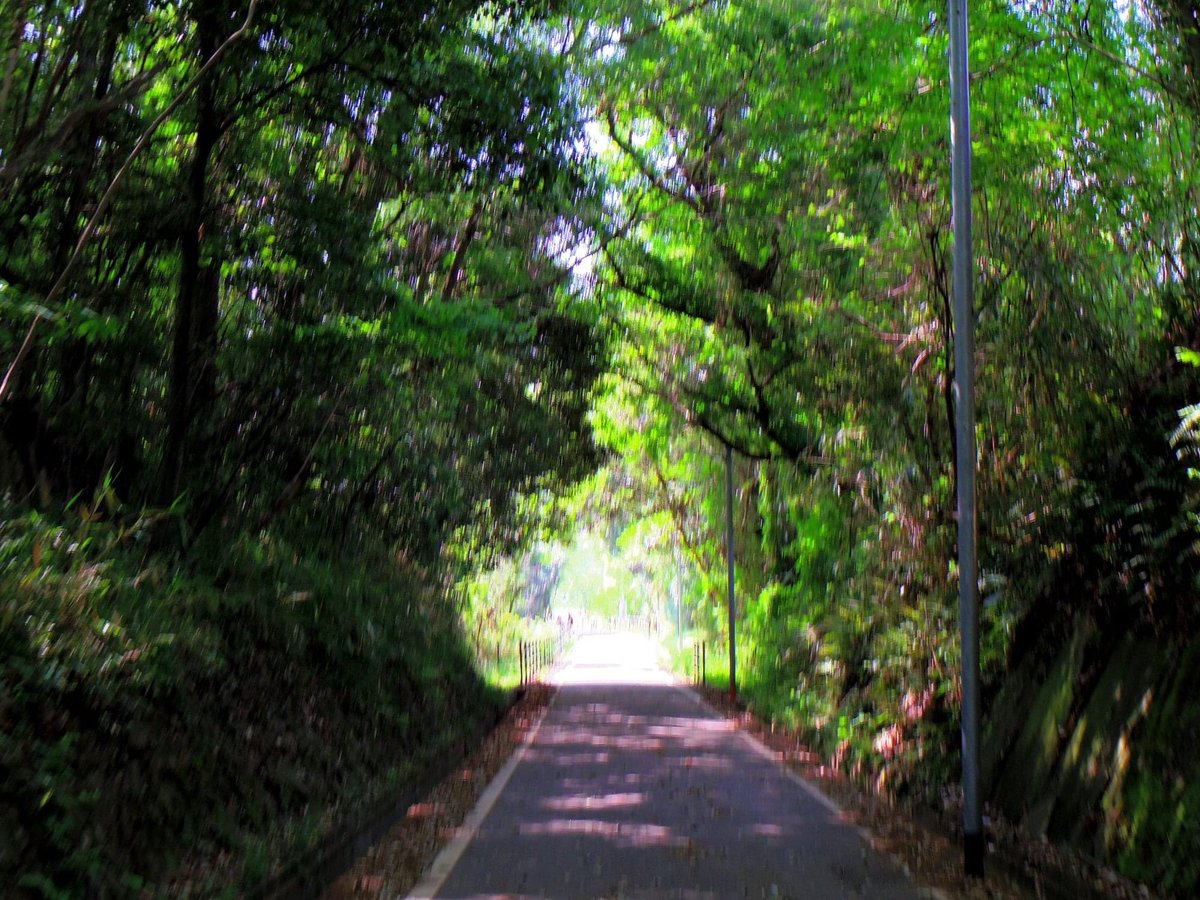 ishiwari2's tweet photo. https://t.co/BZBrun5wfK