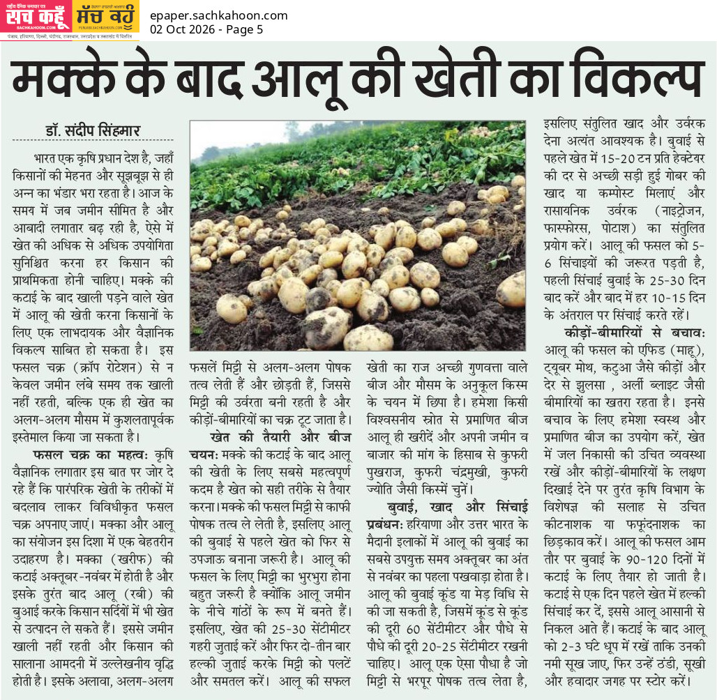 Sachkahoon's tweet photo. मक्के के बाद आलू की खेती का विकल्प

किसानों के लिए मक्के की कटाई के बाद आलू की खेती लाभदायक विकल्प बन सकती है। सही बीज, संतुलित खाद, समय पर बुवाई और वैज्ञानिक तरीके अपनाकर किसान बेहतर उत्पादन और अधिक आय प्राप्त कर सकते हैं। 

#Agriculture #PotatoFarming #Farmers #Krishi https://t.co/i2A9vWdYXz