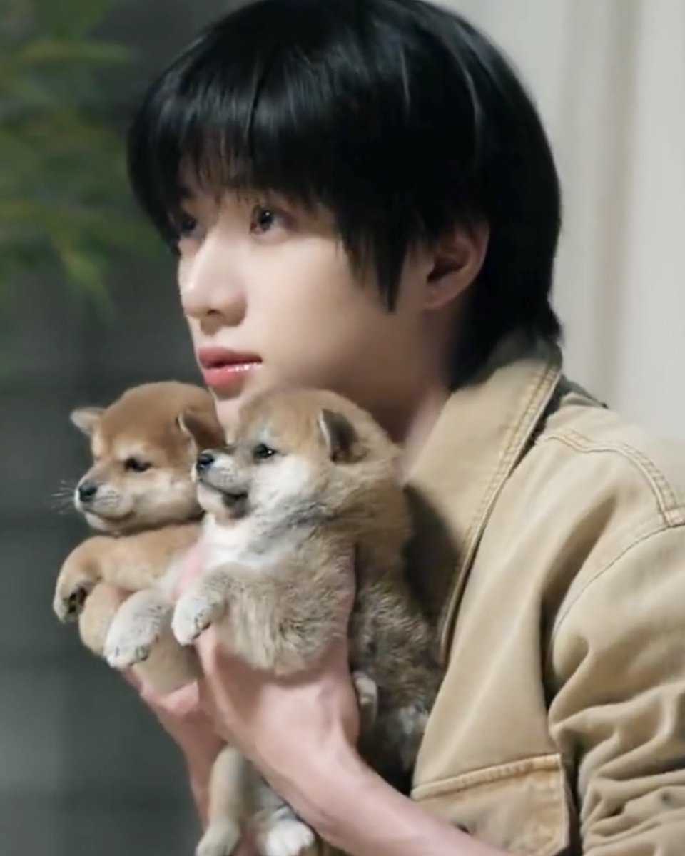 dotoli13191's tweet photo. 헐? 강아지가 세마리? https://t.co/Ou2VT9Ks8l