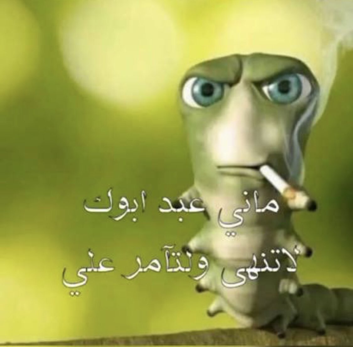 j0vq2's tweet photo. شونق بيبث 720 بدون احد يطلب منه
دربحه اذا قلت له بث رول https://t.co/UoWJmNIh3v