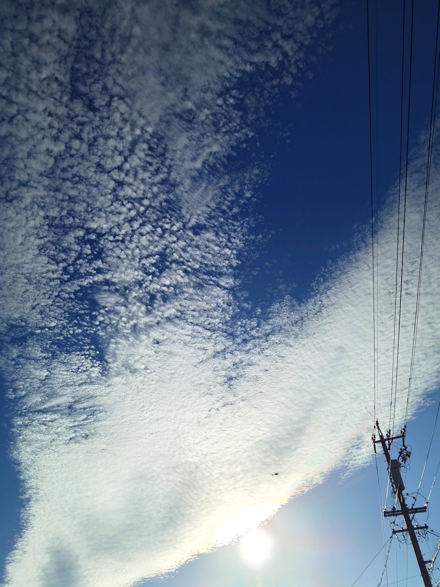 awapom_photo's tweet photo. 秋の空と川崎BK117-D3(H145)₍ᐢ*⓿ω⓿ᐢ₎ .。oOチュウニチシンブンノヘリダ
#イマソラ #キリトリセカイ #ファインダー越しの私の世界 #秋空 #うろこ雲 #BK117 #ヘリコプター #helicopter #Xperia1VIII https://t.co/F6mrnTZsGG