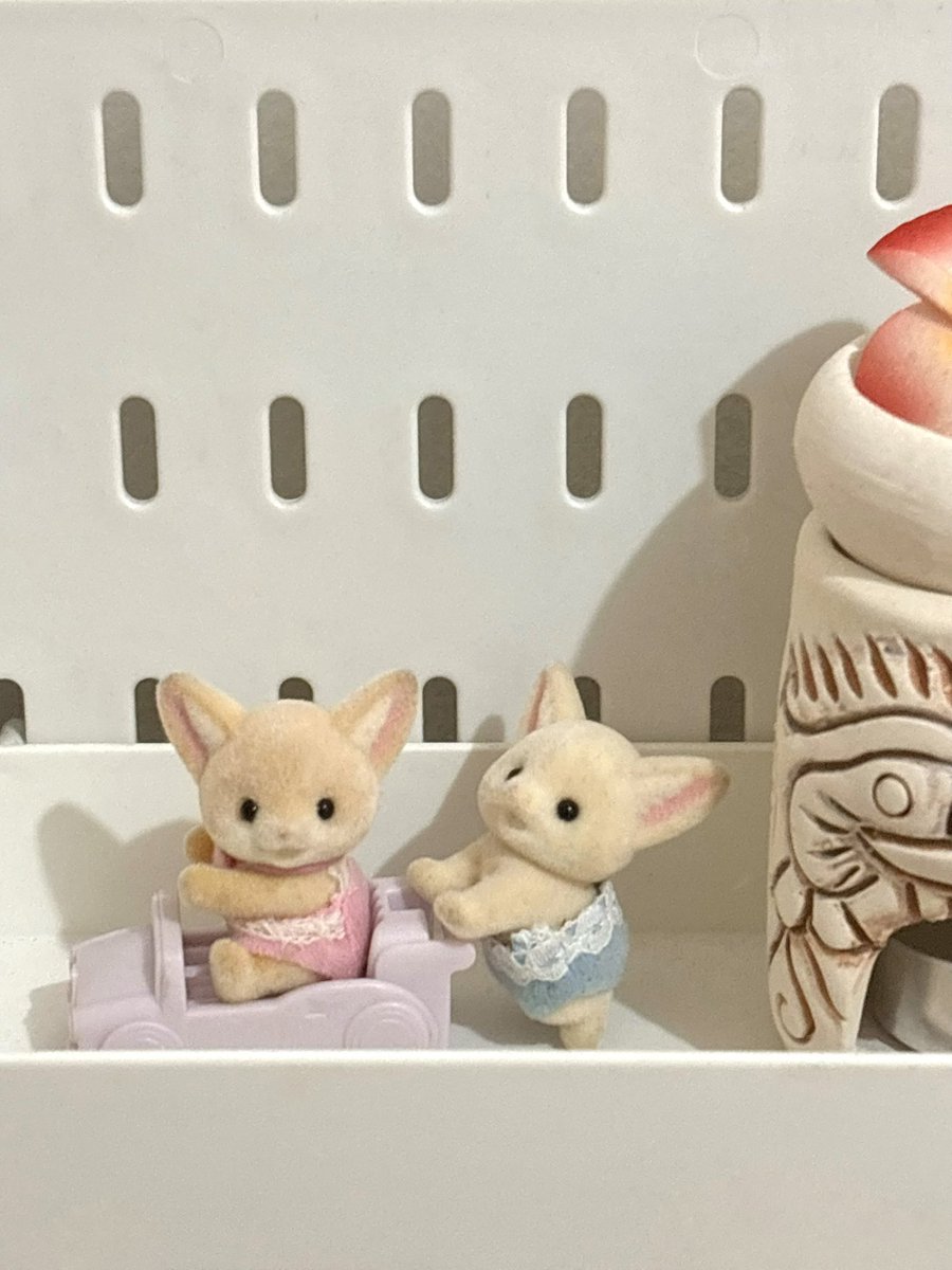 iounaraa's tweet photo. wts sylvanian 
bisa 🍊

fantastical fairytale 170k
families fennec fox twins 110k

do mention/reply after dming 🎀 https://t.co/IkSlbj35Ij