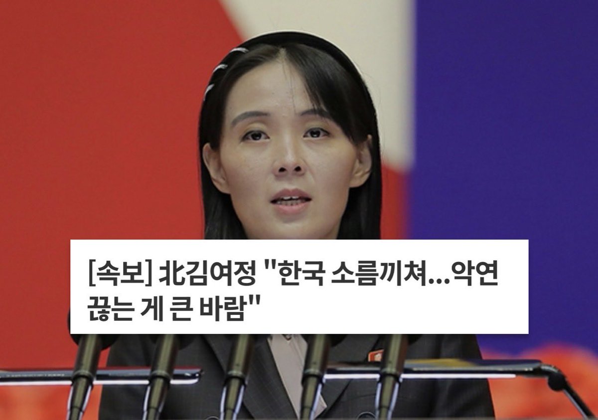ObserverKR's tweet photo. [속보] 🇰🇵 김여정 "한국 소름끼쳐...악연 끊는 게 큰 바람"

지들이 지뢰 깔아 놓고선 ㅈㄴ뻔뻔하노..😡🤬 https://t.co/U2cmL8cWoU