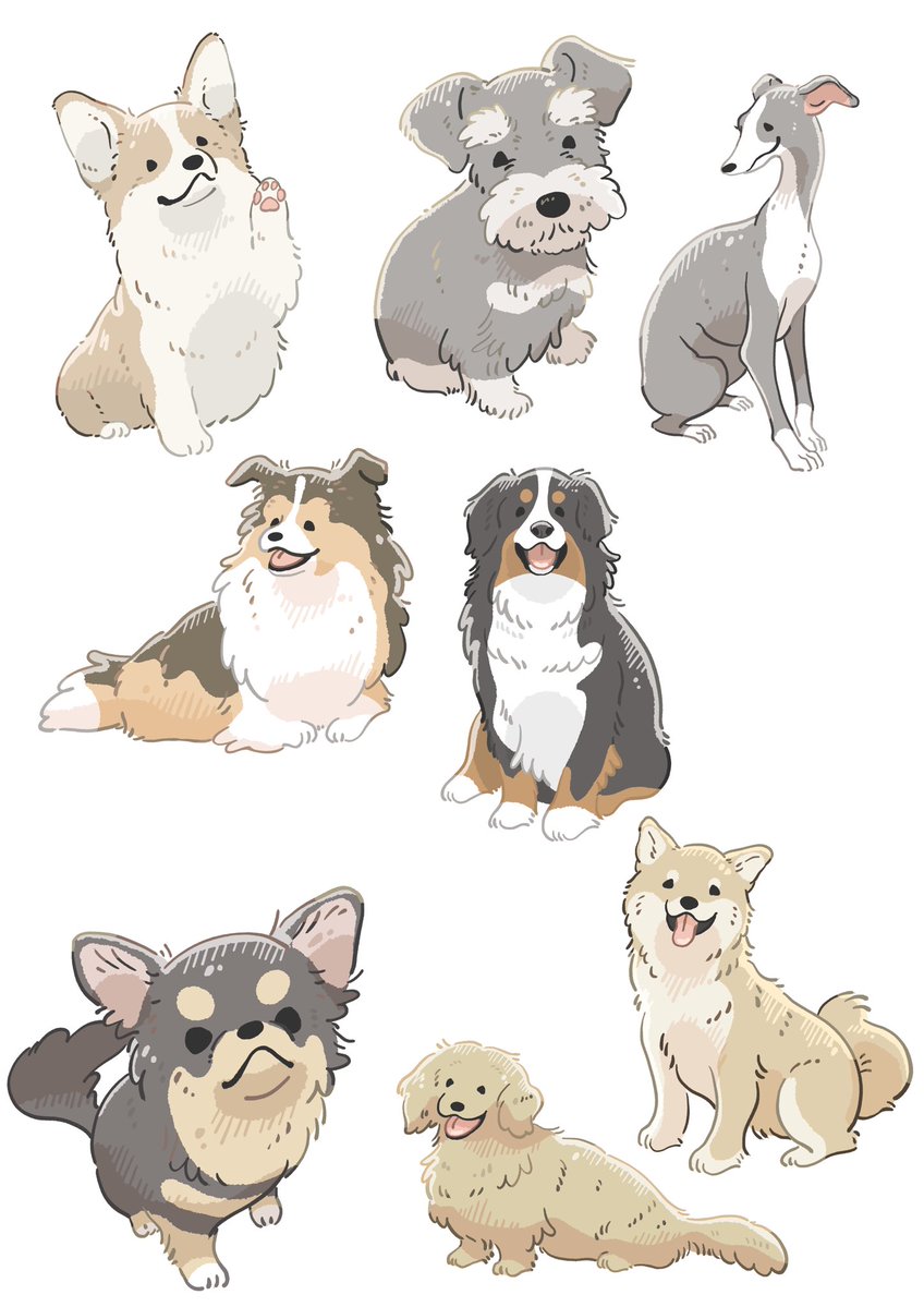 chikchikuni's tweet photo. 最近のわんず。

#犬 #イラスト #illustration‌‌ https://t.co/994u02Qet6
