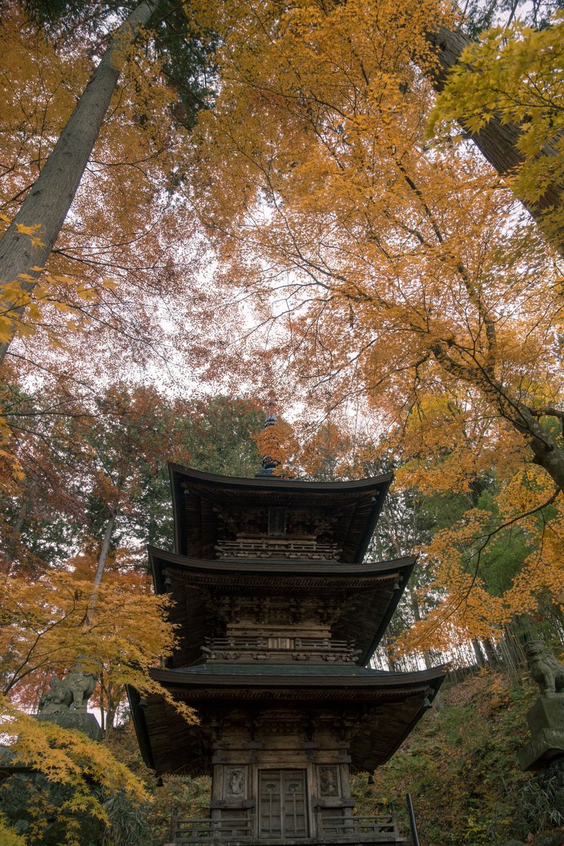 yasufumi_photo's tweet photo. 今年の日照不足はどう影響出るかな https://t.co/dvJaMEZEWu