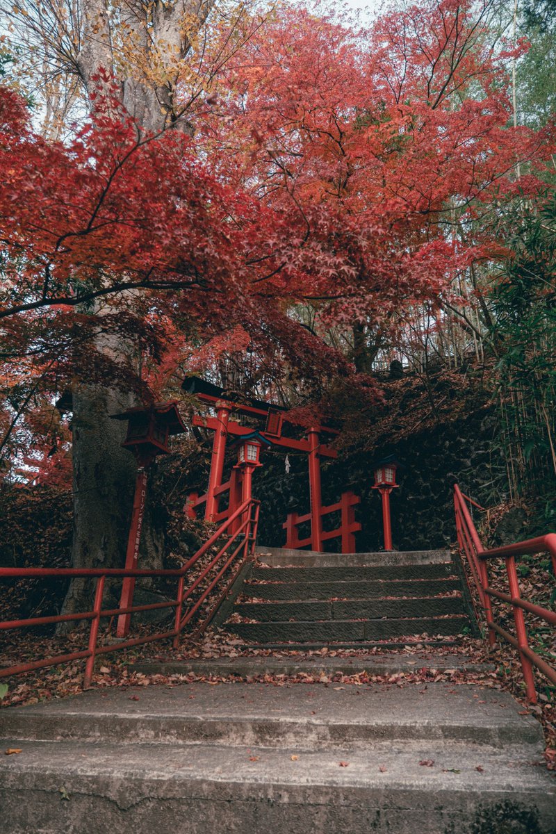 yasufumi_photo's tweet photo. 今年の日照不足はどう影響出るかな https://t.co/dvJaMEZEWu
